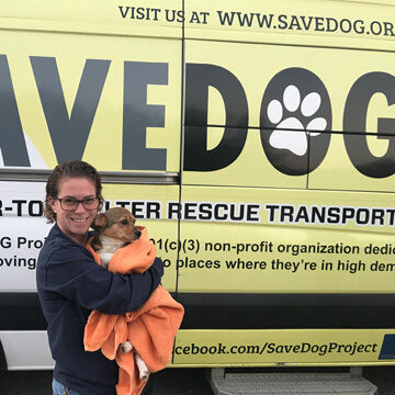 SAVE.DOG Pup being held in front of SAVEDOG van
